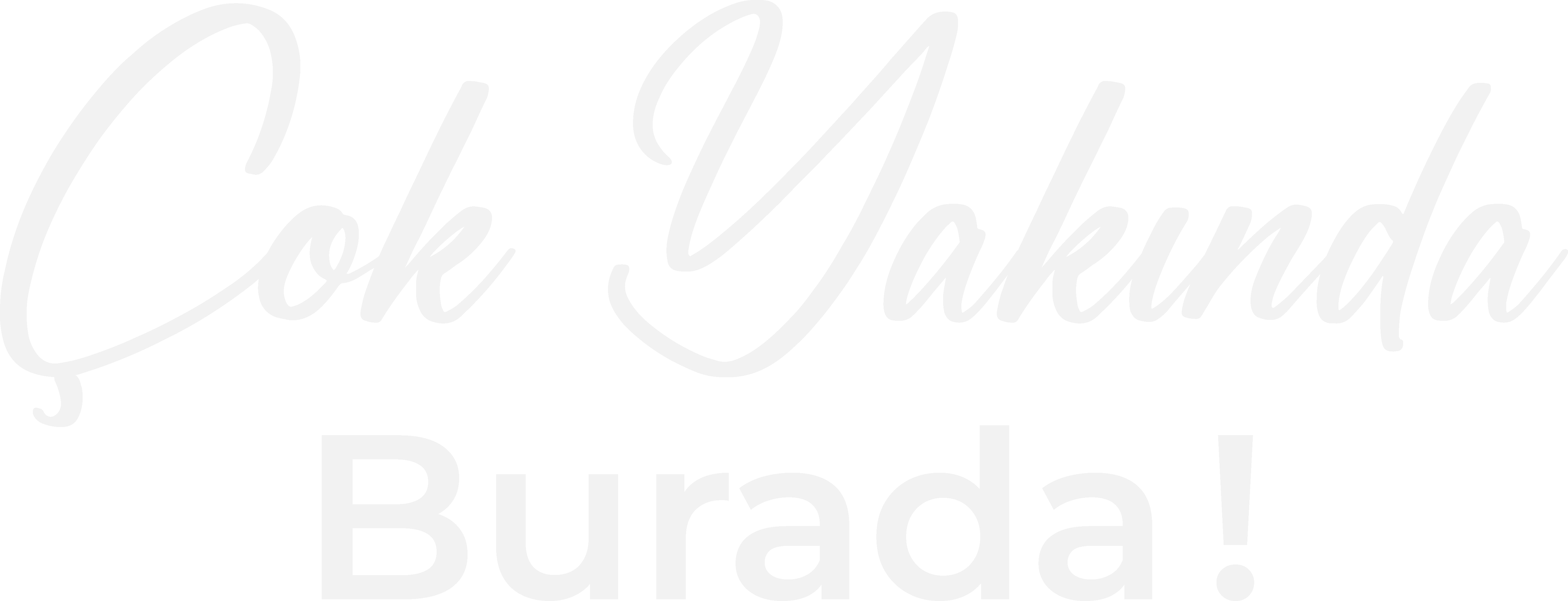 Siltaş Voyage Logo